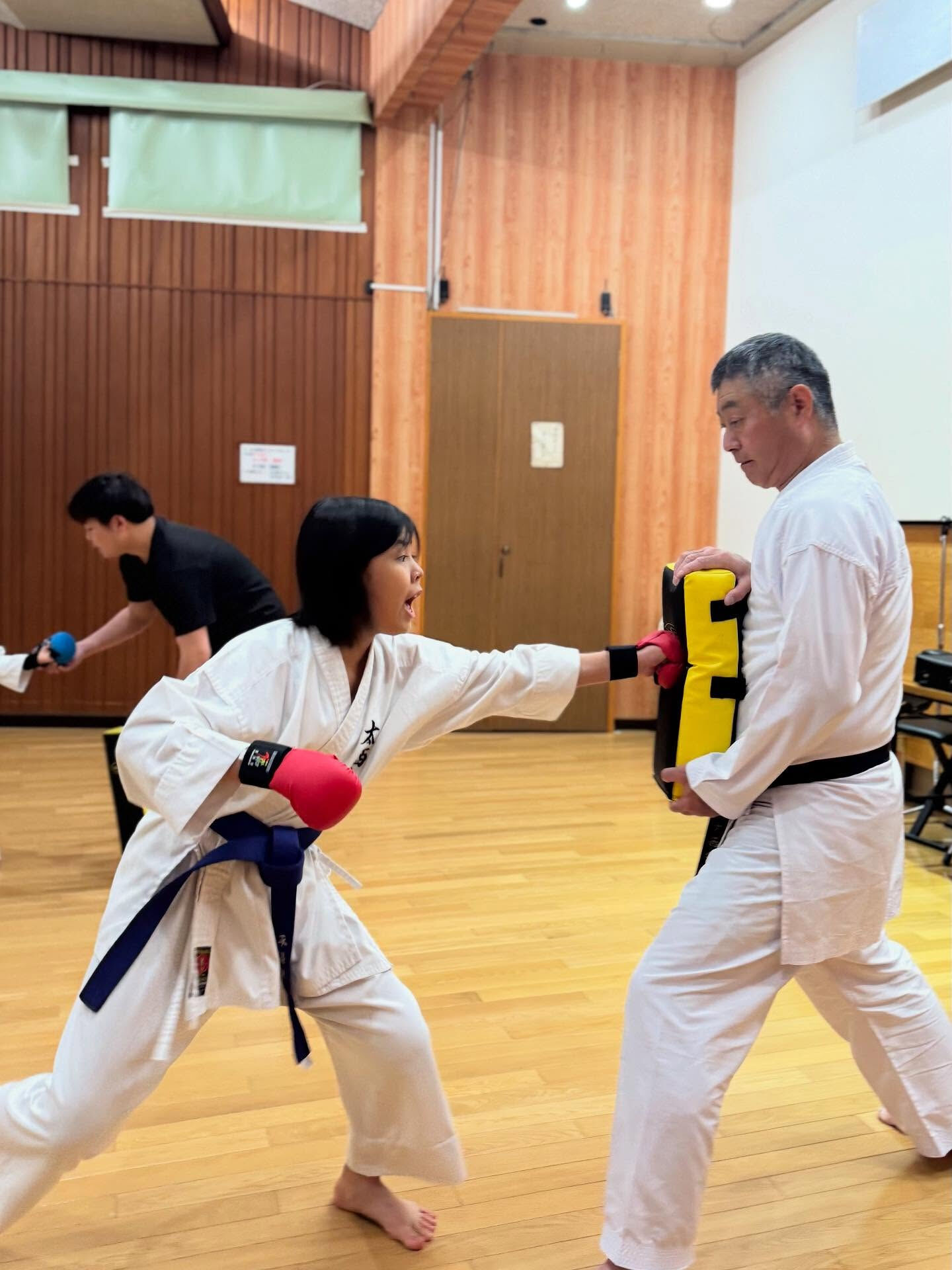 堺市で子供に習い事、「空手」でお探しなら、太西会白鷺支部、城