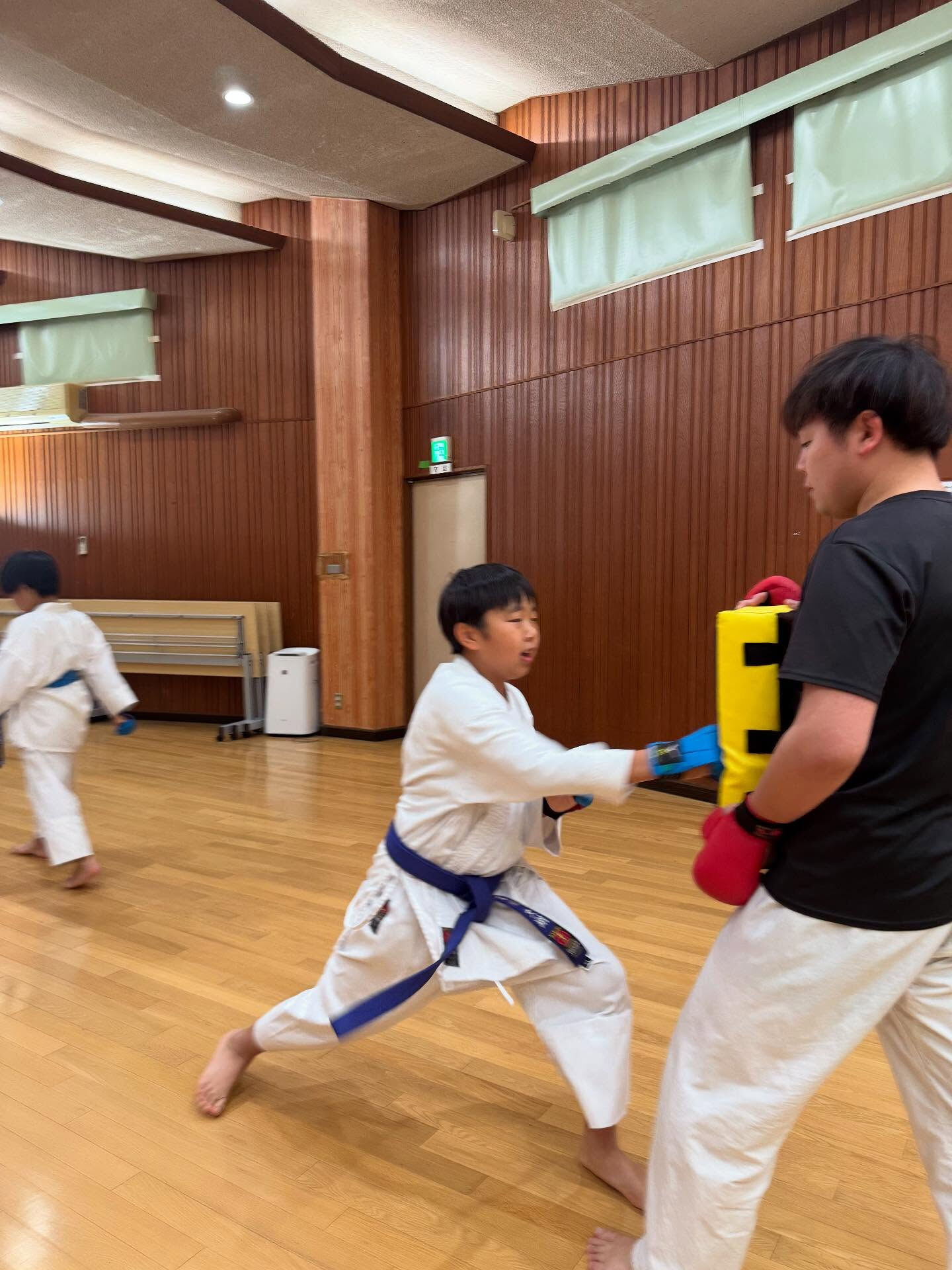 堺市で子供に習い事、「空手」でお探しなら、太西会白鷺支部、城