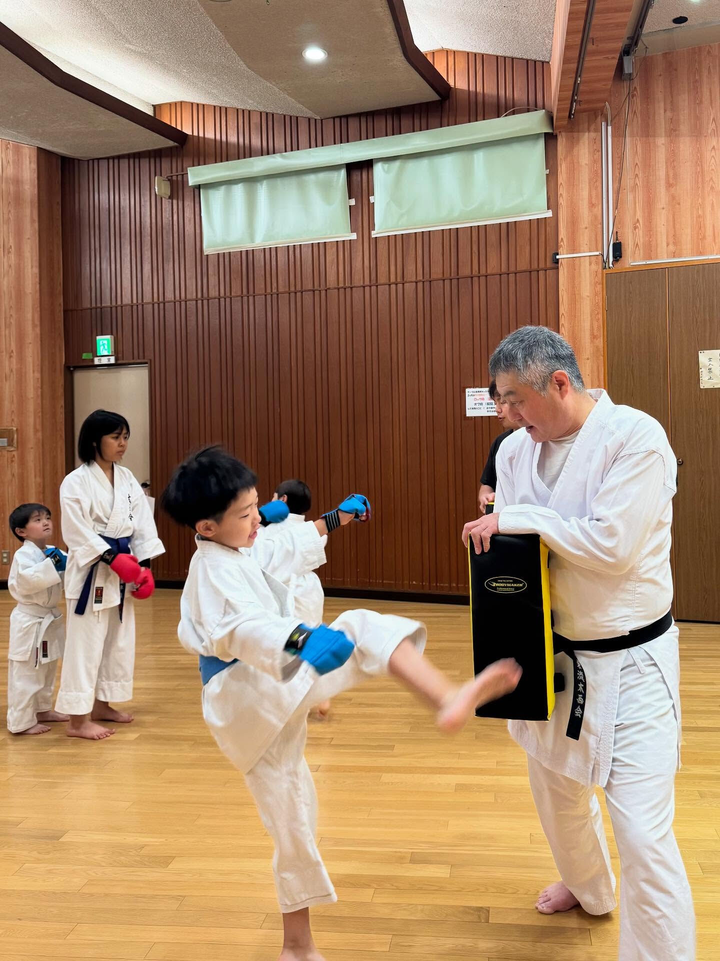 堺市で子供に習い事、「空手」でお探しなら、太西会白鷺支部、城